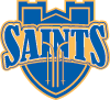 Nordic Skiing Team Logo