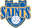 Volleyball Team Logo