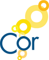 CSS Cor Login