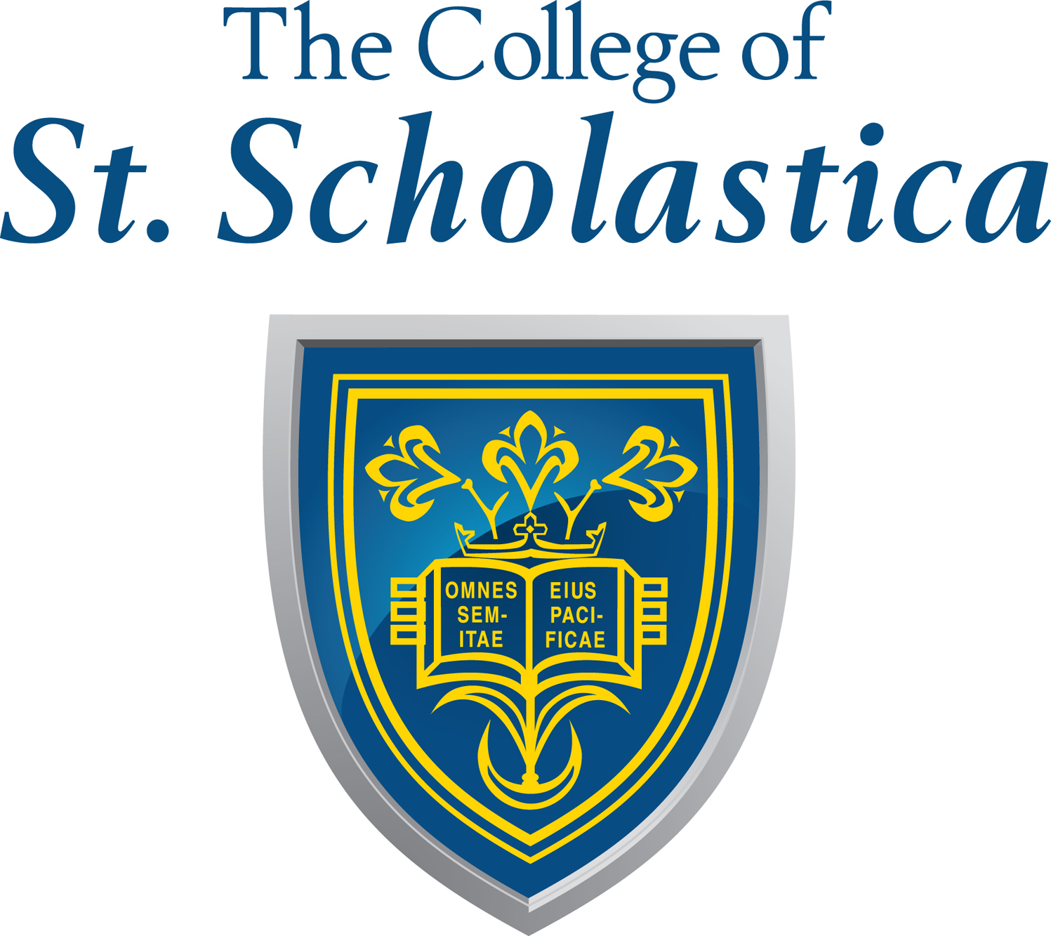 College of St. Scholastica Saints Color Codes Hex, RGB, and CMYK - Team  Color Codes